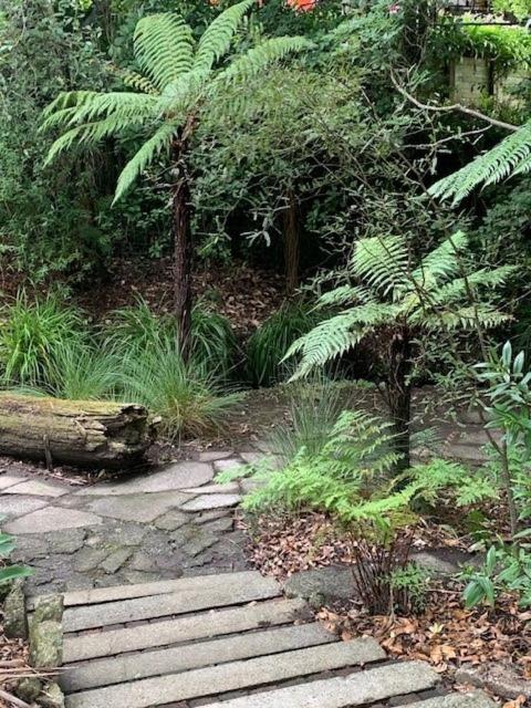 Private Guest Wing - Durie Vale Lodge Whanganui Exteriér fotografie